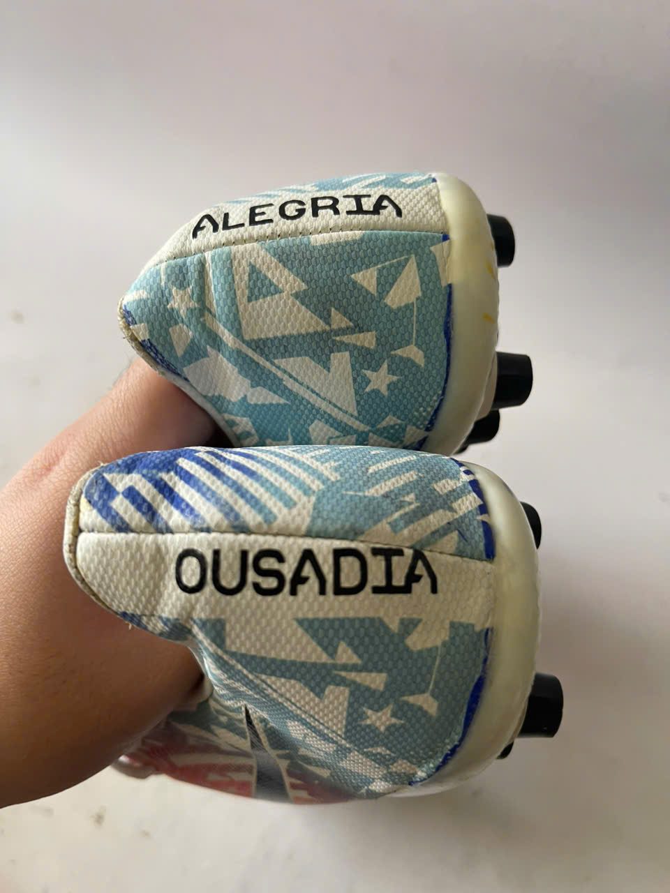 gen-h-z7452043393335_90a44bf0f8f14cc2983445bdfbdba799