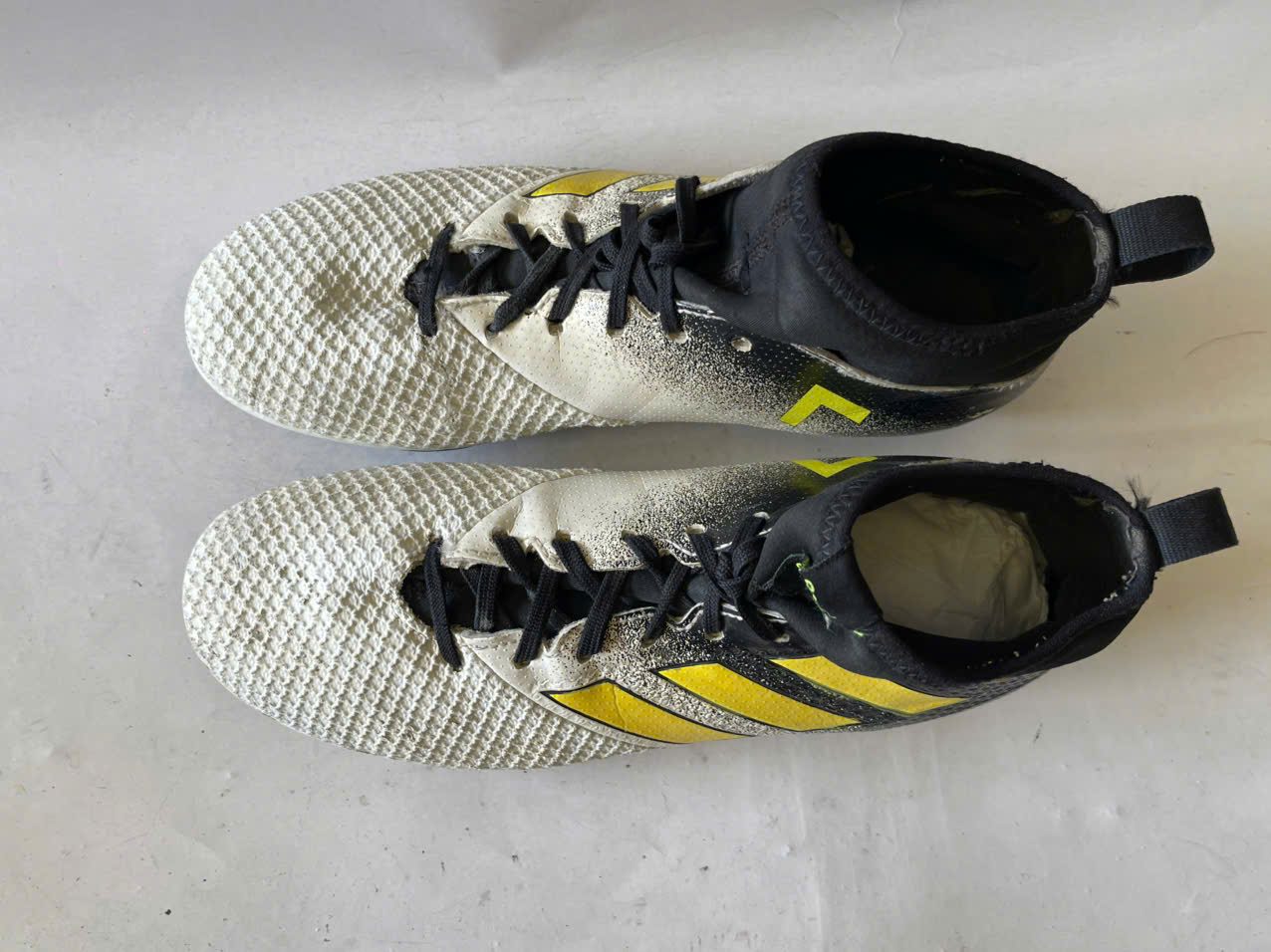 gen-h-z7462683002006_d8fed3ffdeeb52431dff7a8bd8628581