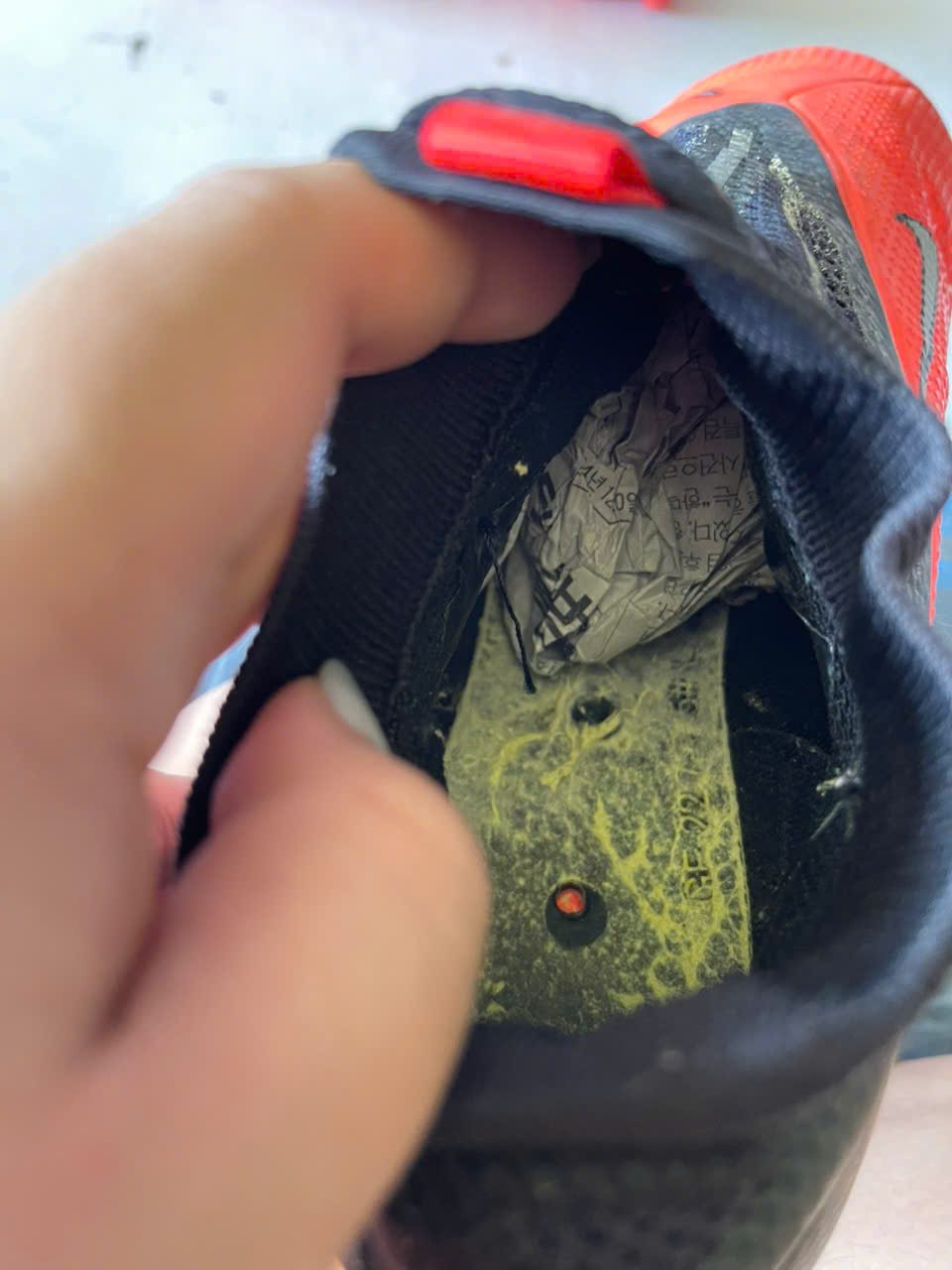 gen-h-z7462744307495_d9faaa5e93cea51ef62ced8e0df27694