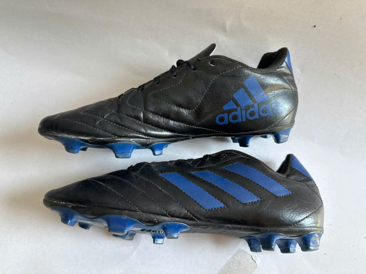 gen-h-z7575685237983_186726b266c90af72a9686dd91410508