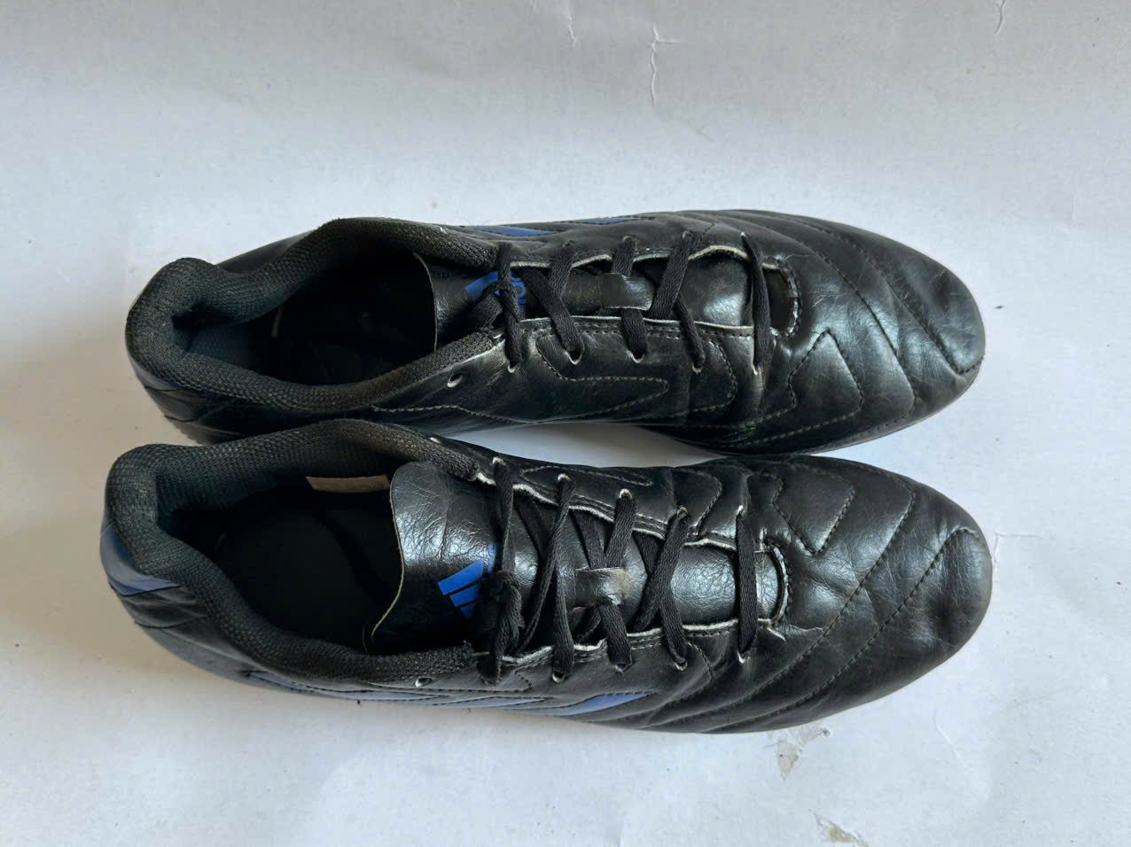 gen-h-z7575685241932_60a970f0c9691ced56b49c0f5bcdf630