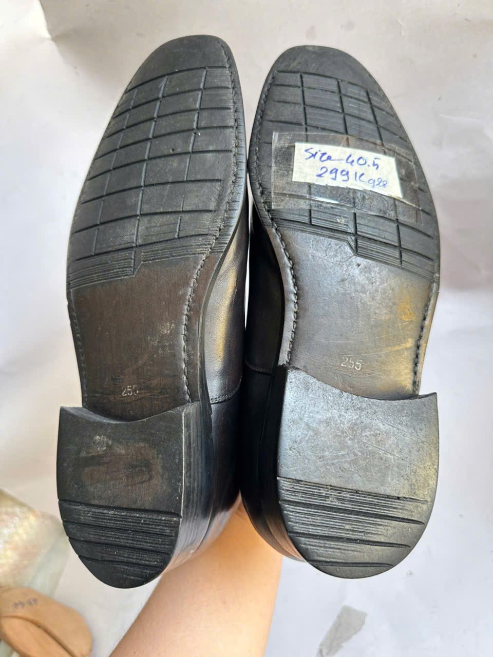 gen-h-z7599068184625_6565aa82b73d392bd8de82c8d1681d0b